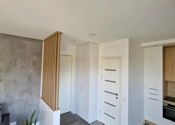 Ronzes 11-12 ,,self Check-in,, Free Parking Apartment Palanga